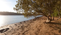 Beach campground shore, Clyde River National Park. Photo: Lucas Boyd/DPIE