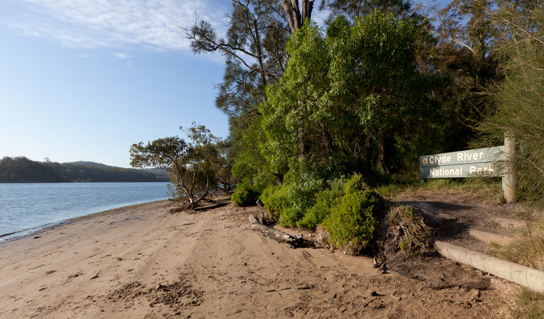 Beach campground daytime, Clyde River National Park. Photo: Lucas Boyd/DPIE