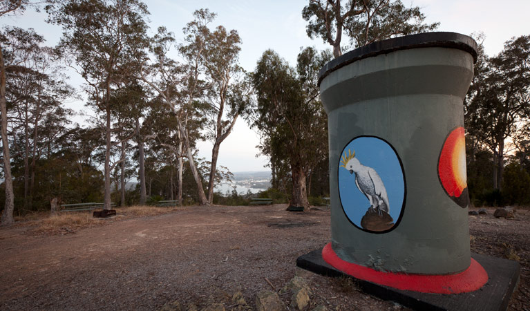 Holmes lookout area, Clyde River National Park. Photo: Lucas Boyd &copy; OEH