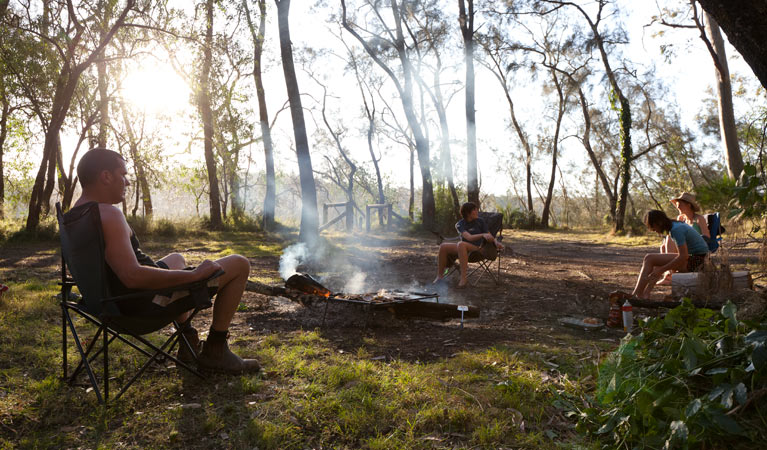 Beach campground barbecue, Clyde River National Park. Photo: Lucas Boyd &copy; DPIE