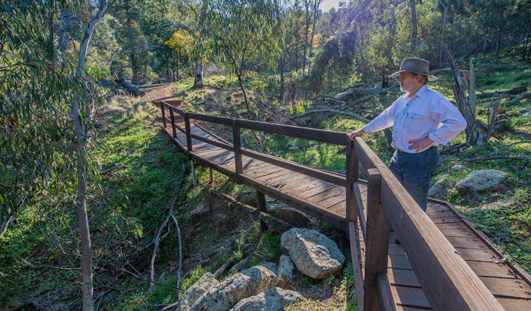 Falcon Falls walking track, Cocoparra National Park. Photo: John Spencer