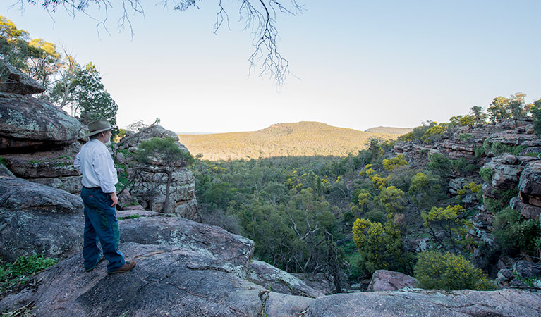 Falcon Falls walking track, Cocoparra National Park. Photo: John Spencer &copy; OEH