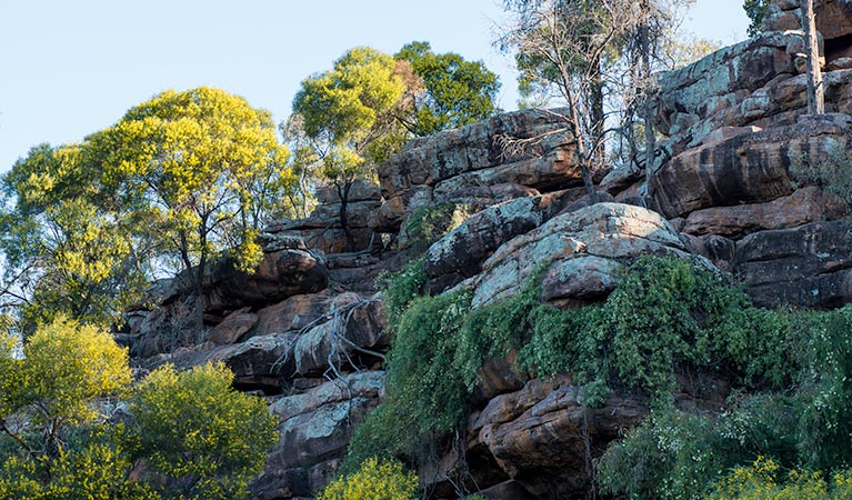 Falcon Falls walking track, Cocoparra National Park. Photo: John Spencer &copy; OEH