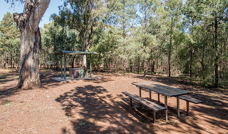 Jacks Creek picnic area, Cocoparra National Park. Photo: John Spencer