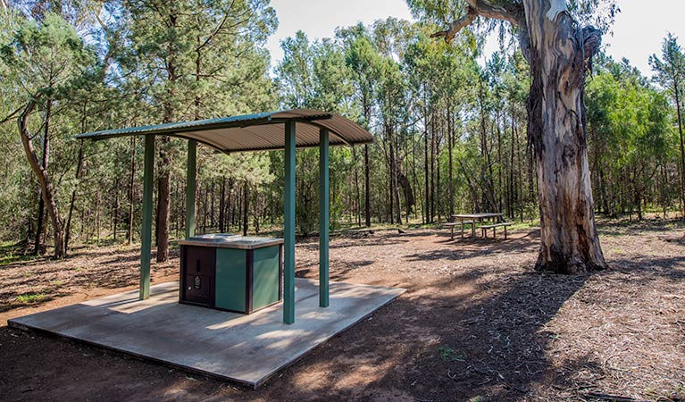 Jacks Creek picnic area, Cocoparra National Park. Photo: John Spencer