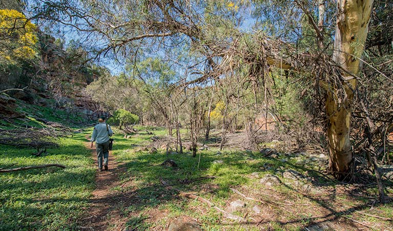 Jacks Creek, Cocoparra National Park. Photo: John Spencer &copy; OEH