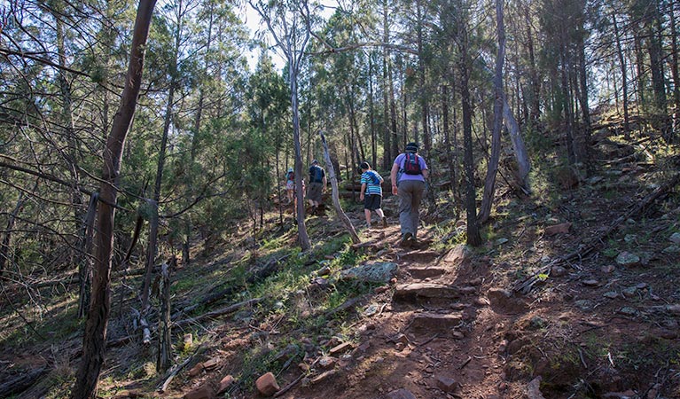 Jacks Creek, Cocoparra National Park. Photo: John Spencer