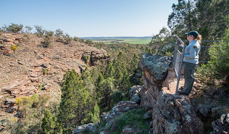 Jacks Creek, Cocoparra National Park. Photo: John Spencer &copy; OEH