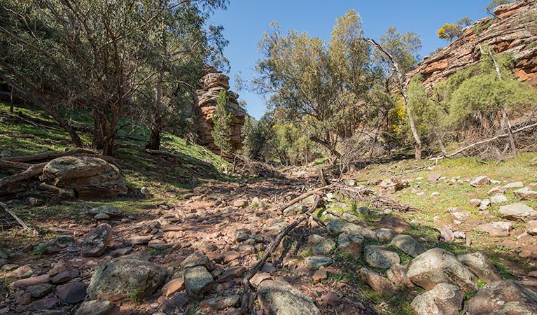 Jacks Creek, Cocoparra National Park. Photo: John Spencer &copy; OEH