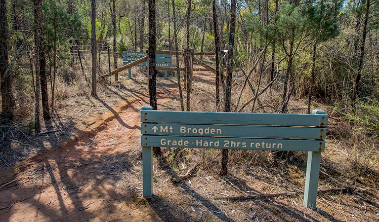 Mount Brogden walking track, Cocoparra National Park. Photo: John Spencer &copy; OEH