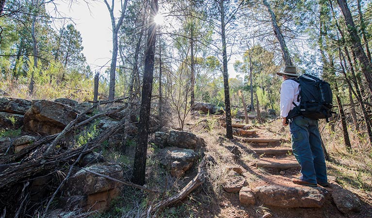 Mount Brogden walking track, Cocoparra National Park. Photo: John Spencer &copy; OEH