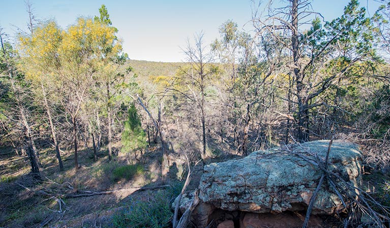 Mount Brogden walking track, Cocoparra National Park. Photo: John Spencer &copy; OEH