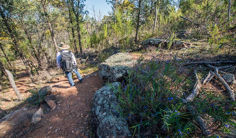 Mount Brogden walking track, Cocoparra National Park. Photo: John Spencer &copy; OEH