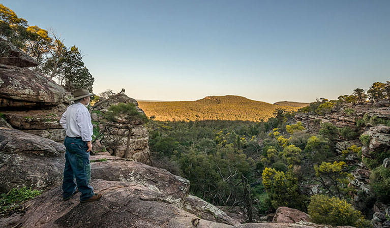 A man looks out across Cocoparra National Park from Spring Hill picnic area. Photo: John Spencer/DPIE