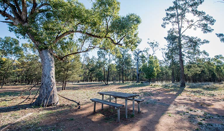 Spring Hill picnic area, Cocoparra National Park. Photo: John Spencer