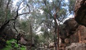 Store Creek picnic area, Cocoparra National Park. Photo &copy; Michelle Ballestrin