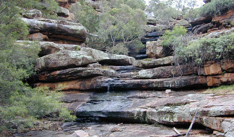 Store Creek picnic area, Cocoparra National Park. Photo &copy; Michelle Ballestrin