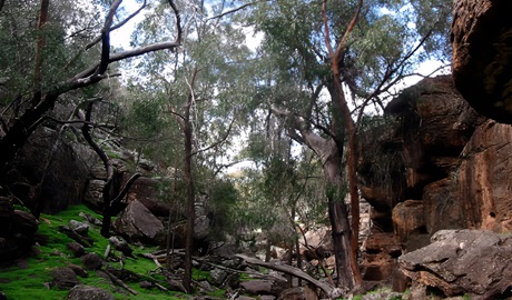 Store Creek walking track leads through woodland to a sheltered rocky gorge. Photo: Michelle Ballestrin, &copy; Michelle Ballestrin/DCCEEW