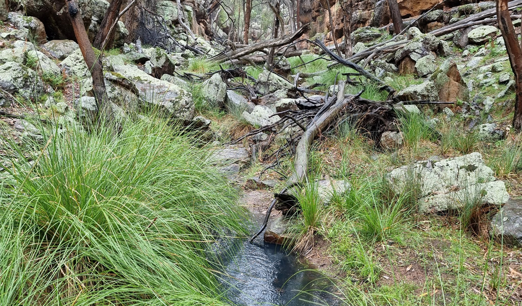 Pools can often be seen on Store Creek walking track in Cocoparra National Park. Photo: &copy; Jess Murphy/DCCEEW