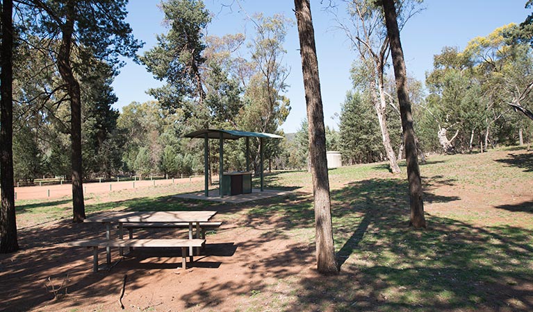 The Pines picnic area, Cocoparra National Park. Photo: John Spencer