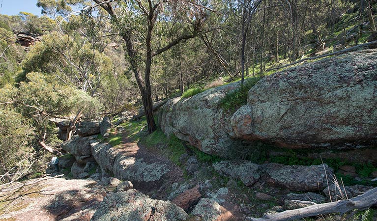 The Pines picnic area, Cocoparra National Park. Photo: John Spencer