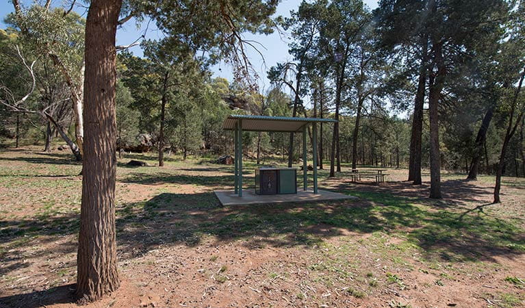 The Pines picnic area, Cocoparra National Park. Photo: John Spencer