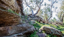 Woolshed Falls walking track, Cocoparra National Park. Photo: John Spencer