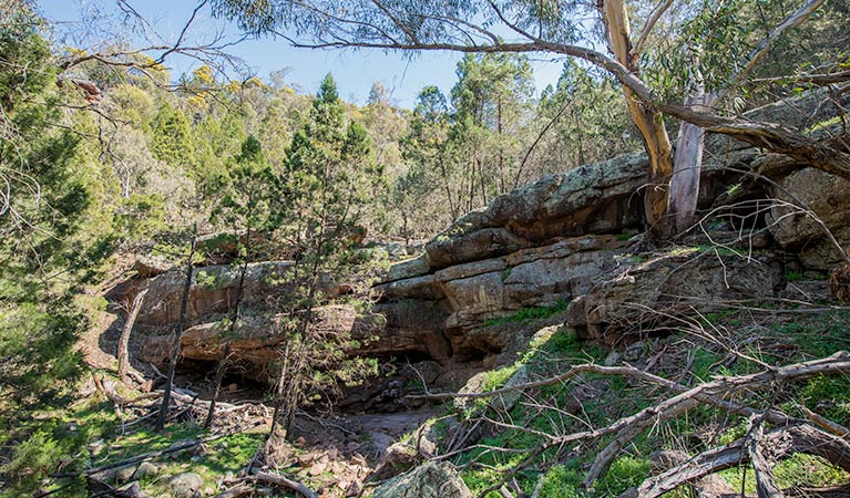 Woolshed Falls walking track, Cocoparra National Park. Photo: John Spencer