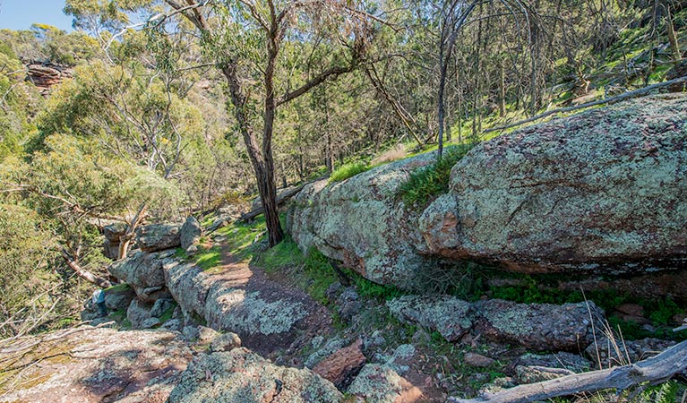 Woolshed Falls walking track, Cocoparra National Park. Photo: John Spencer