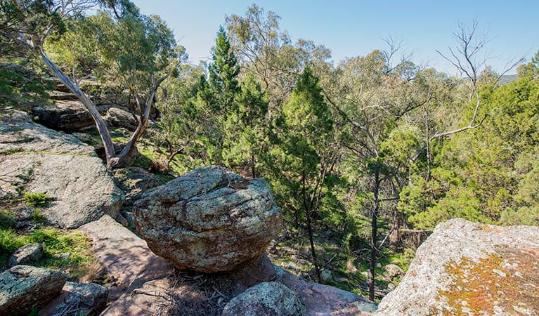 Woolshed Falls walking track, Cocoparra National Park. Photo: John Spencer