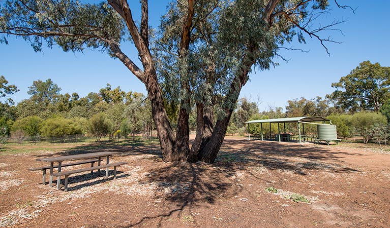 Woolshed Flat campground. Cocoparra National Park. Photo: John Spencer