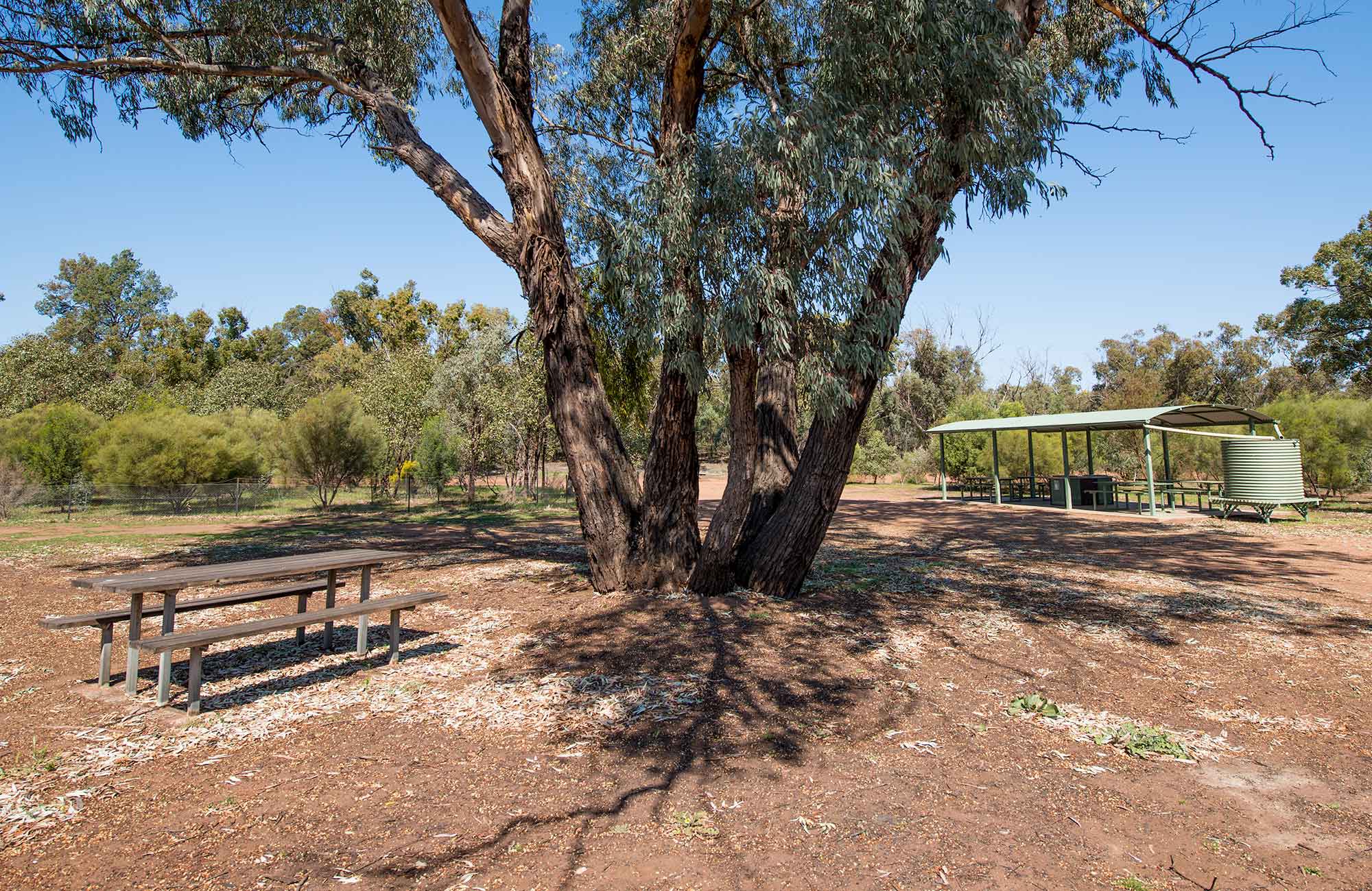 Woolshed Flat campground NSW National Parks