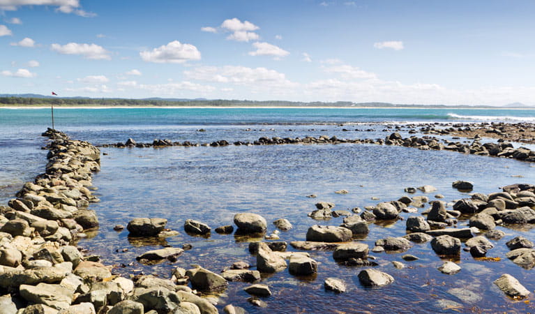 Arrawarra Beach Rocks, Coffs Coast Regional Park. Photo: Rob Cleary