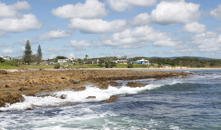 Arrawarra Beach Headland, Coffs Coast Regional Park. Photo: Rob Cleary