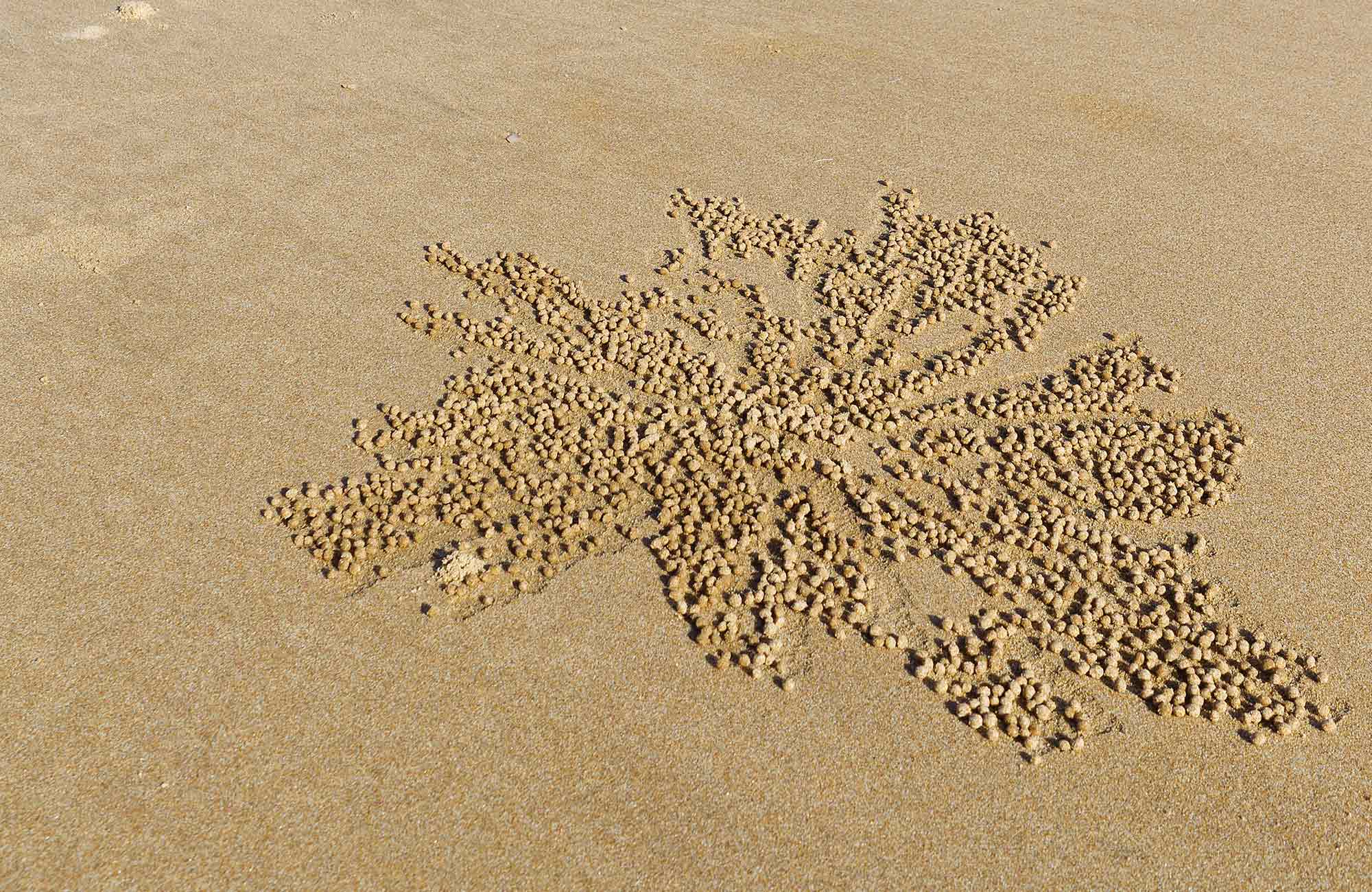 Pattern in the sand. Photo:Rob Cleary