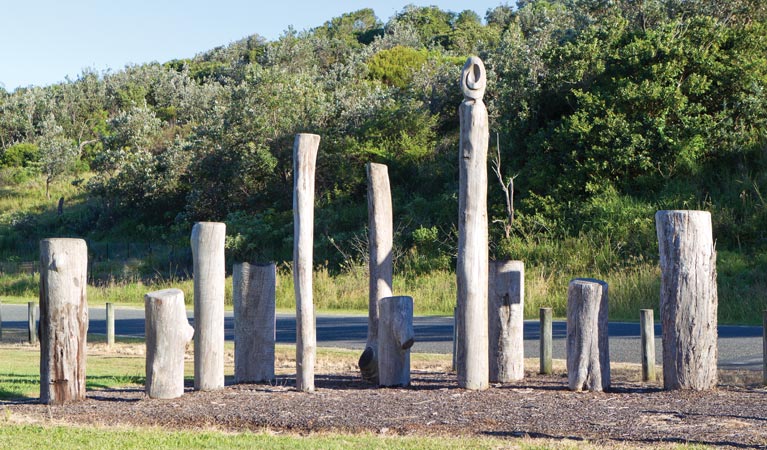 Diggers Beach tree stumps, Coffs Coast Regional Park. Photo: Rob Cleary