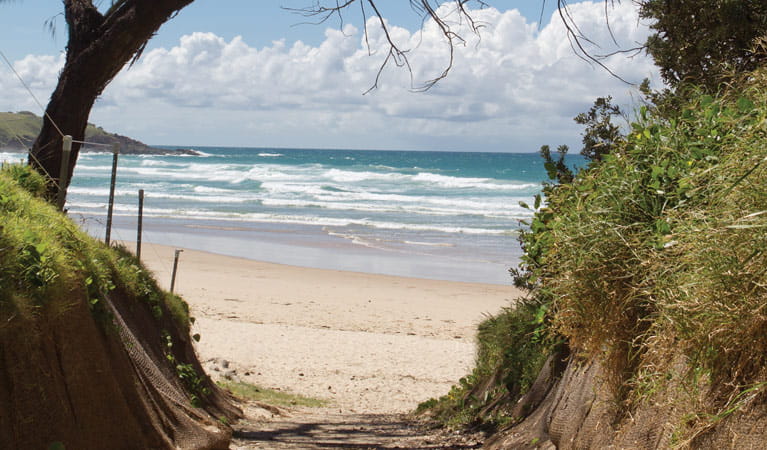 Sand and ocean of Mullaway Beach. Photo: Rob Cleary