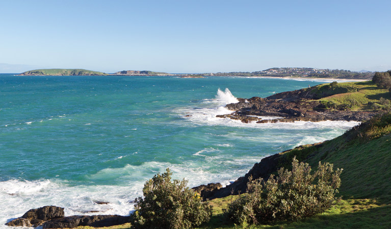 Macauleys Headland, Coffs Coast Regional Park. Photo: &copy; Rob Cleary