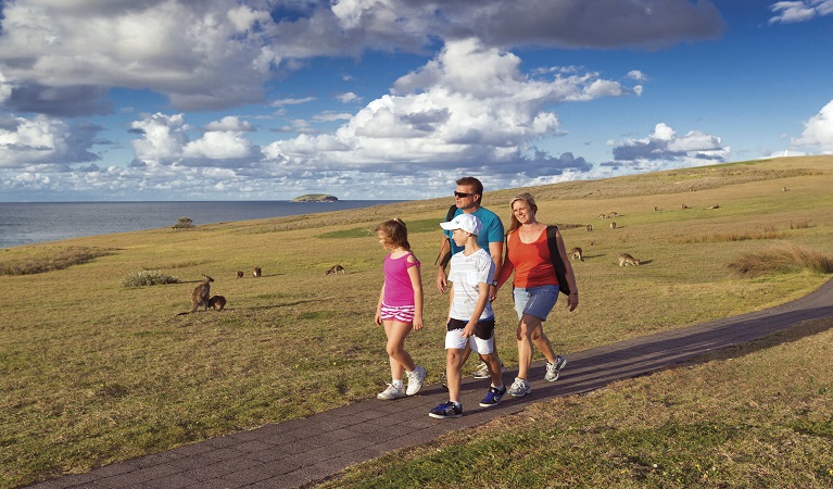 Visitors following the trail around the Look At Me Now headland. Photo: Rob Cleary 