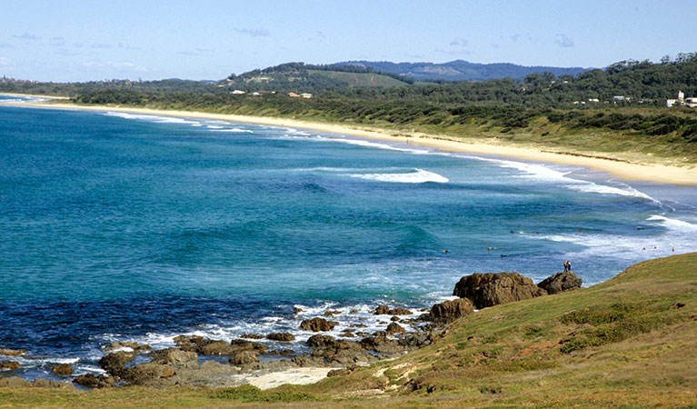 Woolgoolga Headland in Coffs Coast Regional Park. Photo: Tony Karacsonyi &copy; DPIE