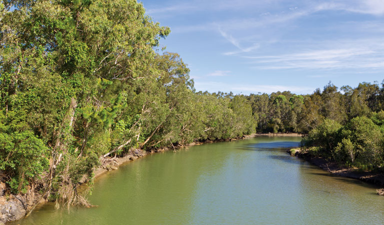 Woolgoolga Lake, Coffs Coast Regional Park. Photo &copy; Rob Cleary