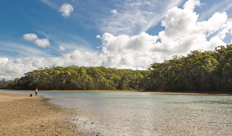 Woolgoolga Lake, Coffs Coast Regional Park. Photo &copy; Rob Cleary