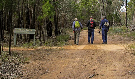 Ironbark walking track, Conimbla National Park. Photo: M Cooper