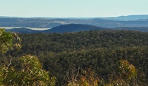 Yambira Mountain, Conimbla National Park. Photo: A Lavender/NSW Government