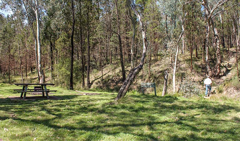 Wallaby picnic area, Conimbla National Park. Photo: Claire Davis/NSW Government