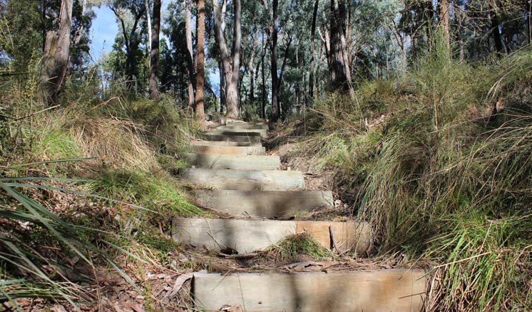 Wallaby walking track, Conimbla National Park. Photo: Claudia McMahon