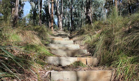 Wallaby walking track, Conimbla National Park. Photo: Claudia McMahon