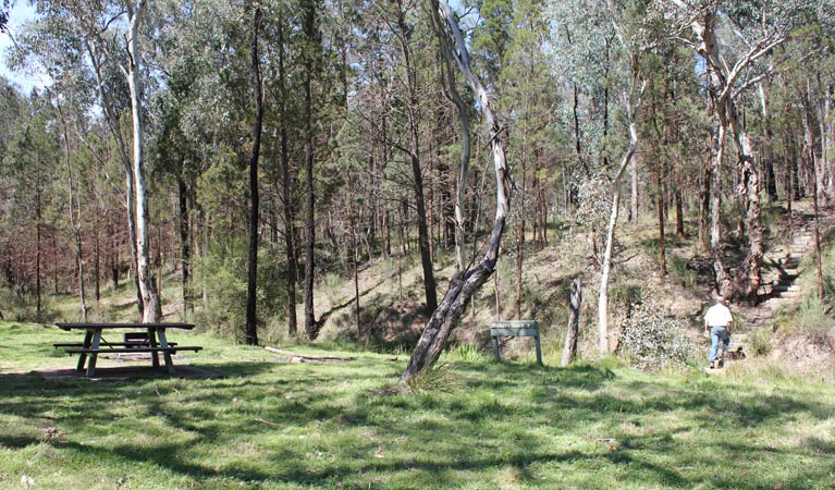 Wallaby walking track, Conimbla National Park. Photo &copy; Claire Davis