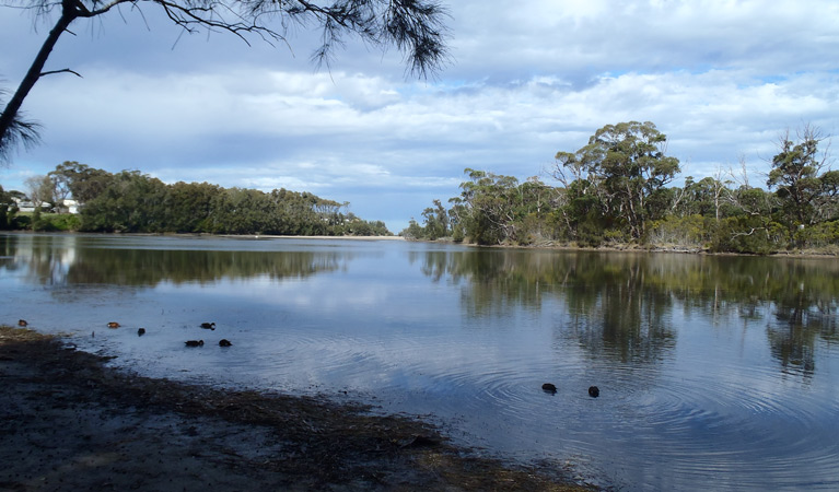 Lagoon, Conjola National Park. Photo &copy; Libby Shields