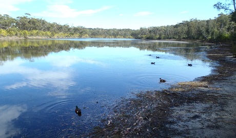 Berrara Creek, Conjola National Park. Photo &copy; Libby Shields